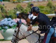 CHIMIRRI V TRAFFIC BOY CampITA2013- S5 0166 : CHIMIRRI VINCENZO, Campionati Italiani 2013, Cattolica, Horse Riviera Resort, TRAFFIC BOY, foto di Stefano Secchi ©